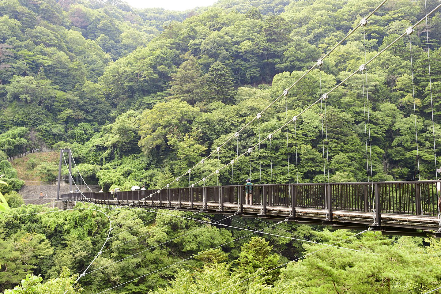🌳 키누타 공원 (砧公園) 이미지 11